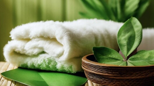 Оздоровительный Wellness-тур
